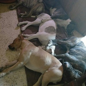 Free Laboral / Paramos y seguimos/ El Bort