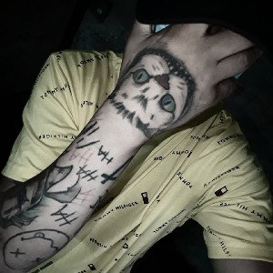 Me subestimaron panda