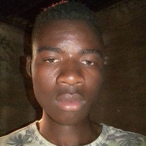 freestly