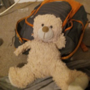 Teddy 3