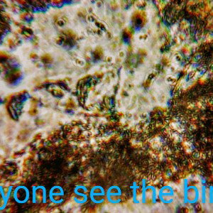 1OLoDiZZleO1