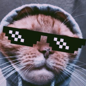 karate kid Cru Cru cru