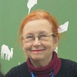 Место под Солнцем
