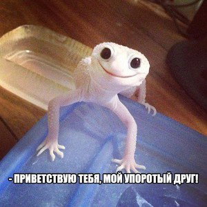 Shimoro_-_Этот_день
