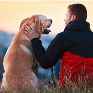 el perro y el humano rap sentimental