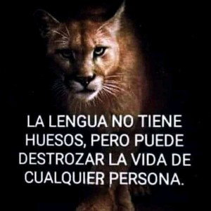tengo tanto por decir