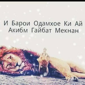 Я смотрю с далека