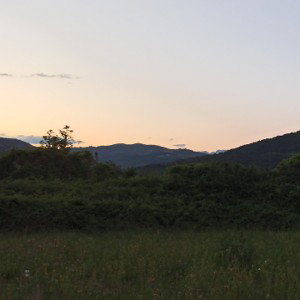  The Sound