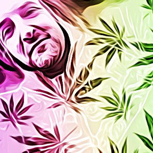 Cannabis connoisseur