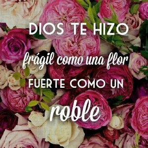 Agradecido ❤👑