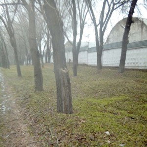 дисс на моргиштерна 