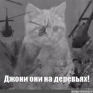 джони, они на деревьях
