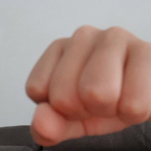 (das Leben als Terrorist)
