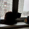 Паренёк