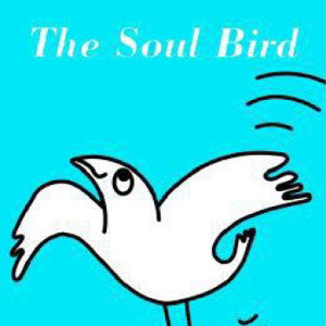 SoulBird✨