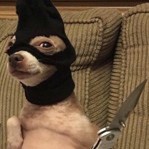 my name is ya booi ya booi booi booi