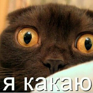 Я какаю