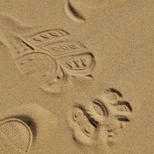Imprint