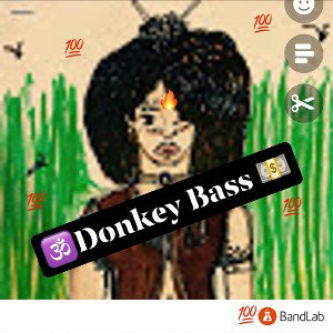 Donkey Bass
