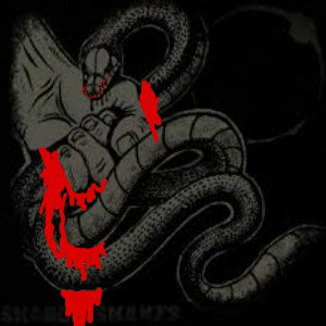MCJC - Shady shadow snakes 