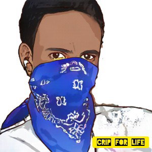 17 cypher 0fficial-1