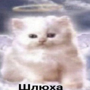 APPXSTL - ДЛЯ СВОИХ