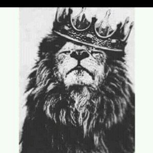 حاكم الغابه 7akem el8@baa