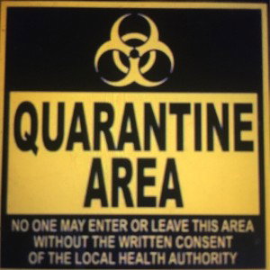 💥Quarantine Bars💥