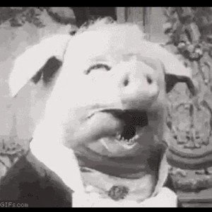 P.I.G. ... Pork Is Good
