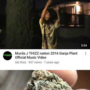 Ganja Plant