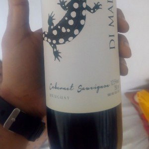  ( Aproveita Ladrão )