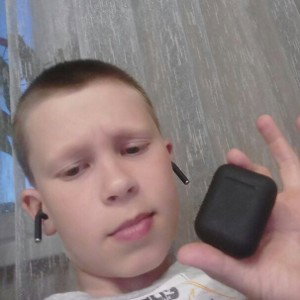 Новый Мерин