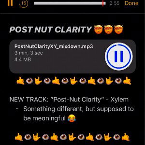 POST NUT CLARITY 