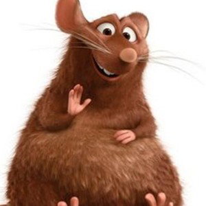 FAT_RAT_ON_A_HILL