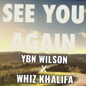 See you again Remake (California beach)