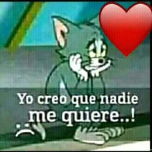 j.c.a