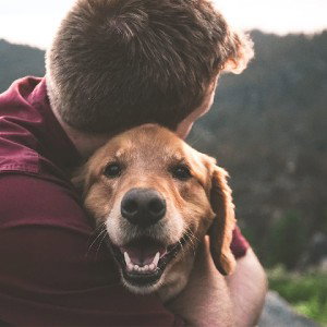 My loyal dog
