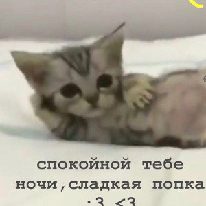 BBS (10:16:17)
