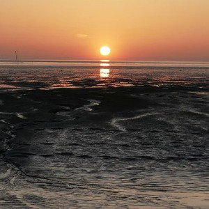 Nordsonne