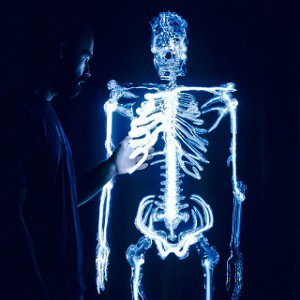 skeletons to light