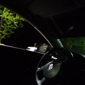 VESUMIE - FREE