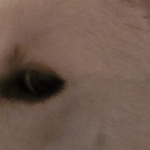 I'm alpha