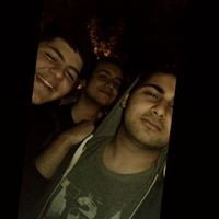 musa dissss