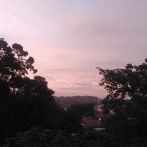 vida 