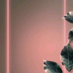                          NEON