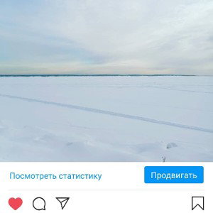 Рома крыса! 