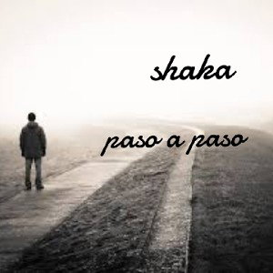 paso a paso