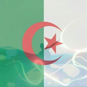 On the tree viva l’Algérie 🇩🇿 