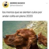 mi princesa 