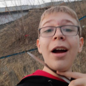 Лошадка